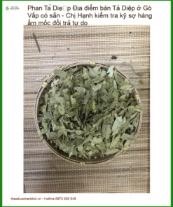 Phan Tả Diệp ở Gò Vấp - Địa chỉ Bán Giao nhanh, Uy tín tại TPHCM