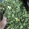 Giá bán Dây Thìa Canh loại thượng hạng 1kg - Đại lý Bình Thạnh giá tốt