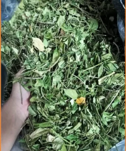 Giá bán Dây Thìa Canh loại thượng hạng 1kg - Đại lý Bình Thạnh giá tốt