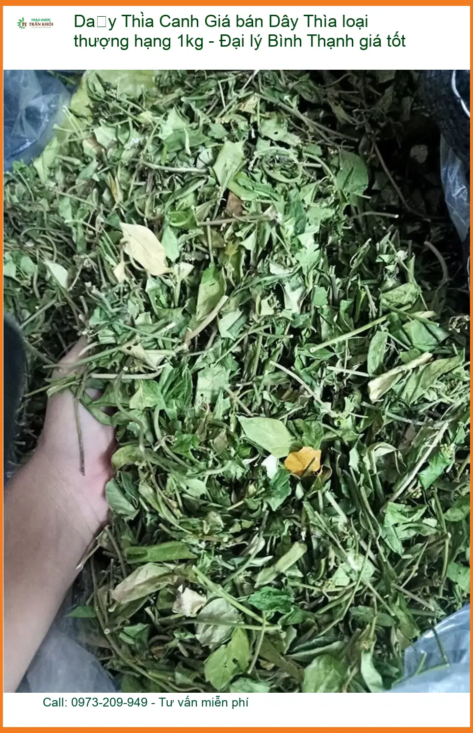 Giá bán Dây Thìa Canh loại thượng hạng 1kg - Đại lý Bình Thạnh giá tốt