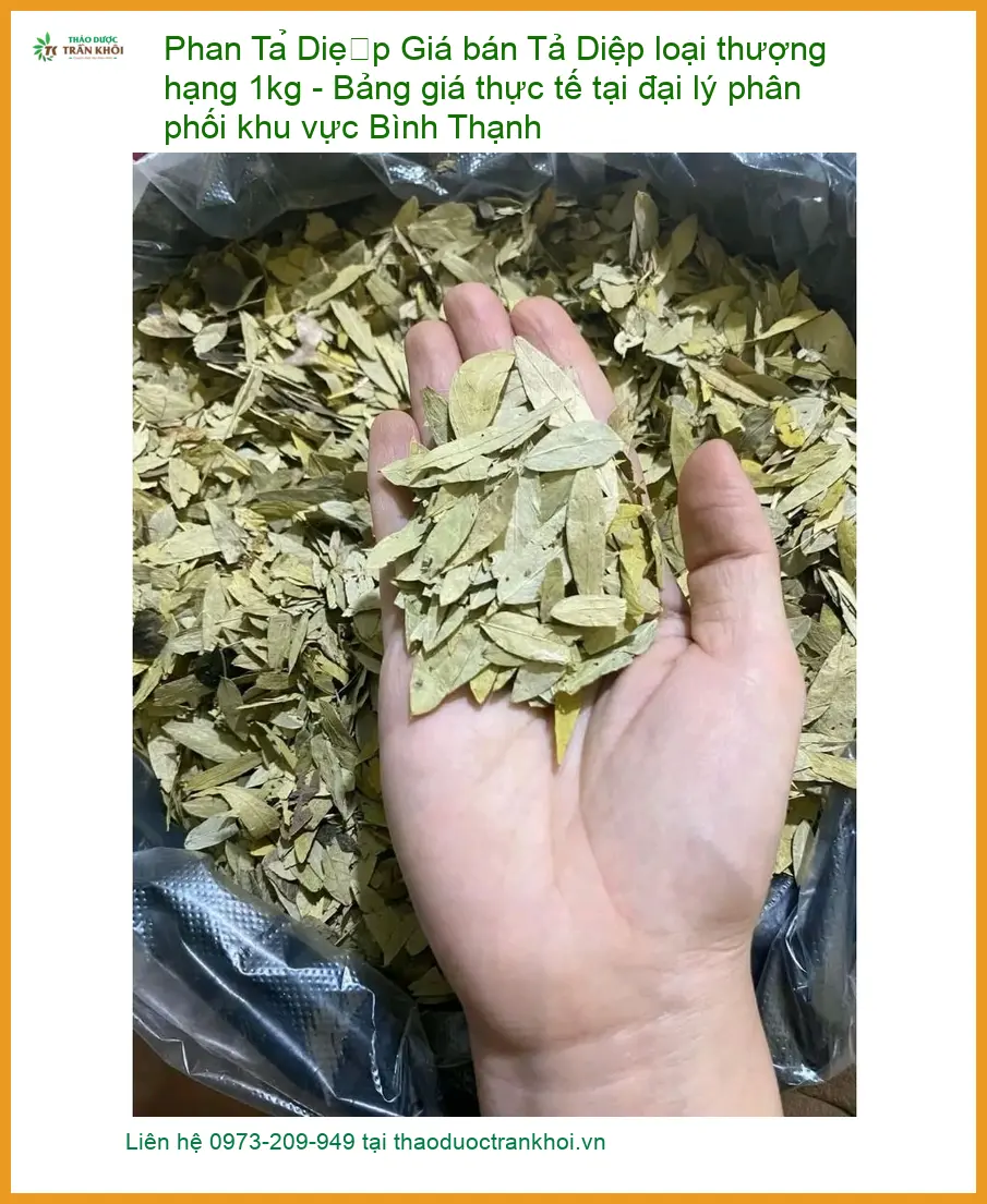 Phan Tả Diệp loại thượng hạng 1kg - Đơn vị Cung cấp Sỉ lẻ Có sẵn TPHCM
