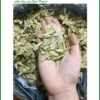 Giá bán Phan Tả Diệp loại thượng hạng 1kg - Địa chỉ bán giao nhanh TPHCM