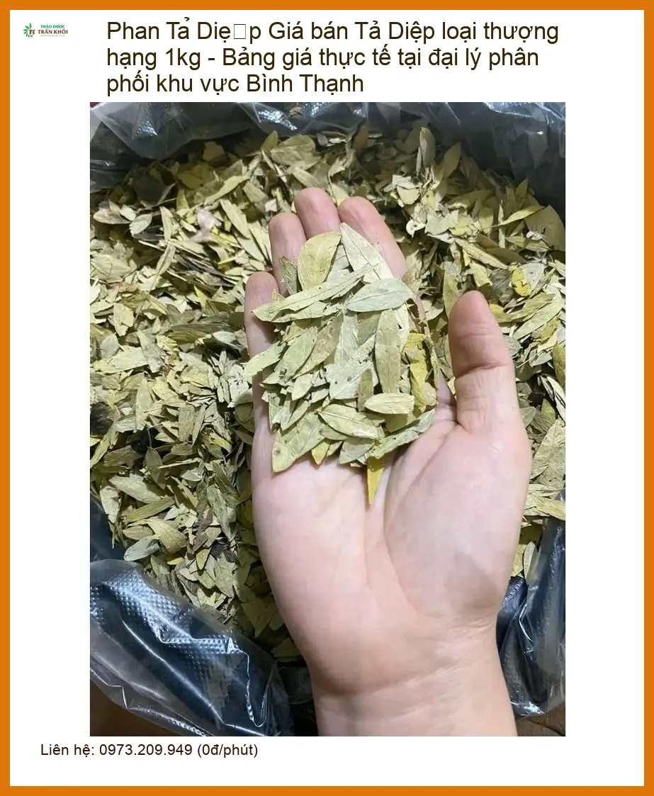 Phan Tả Diệp loại thượng hạng 1kg - Địa chỉ bán sỉ lẻ giao nhanh TPHCM