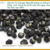 Hắc Kỷ Tử mát gan tăng đề kháng cơ thể gói 500g - Địa chỉ Bán Giao nhanh