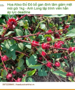 Hoa Atiso Đỏ bổ gan định tâm giảm mệt mỏi gói 1kg - Đơn vị Bán TPHCM