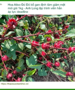 Hoa Atiso Đỏ bổ gan định tâm giảm mệt mỏi gói 1kg | Địa chỉ Bán Có sẵn