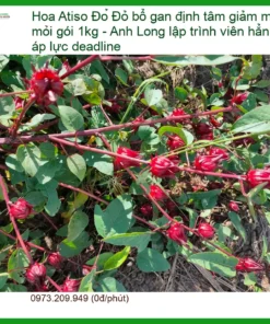 Hoa Atiso Đỏ bổ gan định tâm giảm mệt mỏi gói 1kg | Sỉ lẻ TPHCM