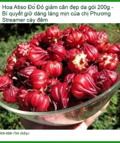 Hoa Atiso Đỏ giảm cân đẹp da gói 200g - Địa chỉ bán giao nhanh TPHCM