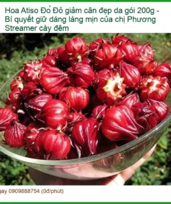Hoa Atiso Đỏ giảm cân đẹp da gói 200g - Địa chỉ Bán Giao nhanh TPHCM