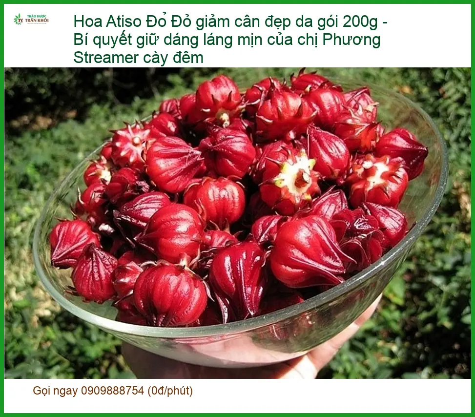 Hoa Atiso Đỏ giảm cân đẹp da gói 200g - Địa chỉ Bán Giao nhanh TPHCM