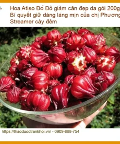 Hoa Atiso Đỏ giảm cân đẹp da gói 200g - Địa chỉ Bán Giao nhanh TPHCM