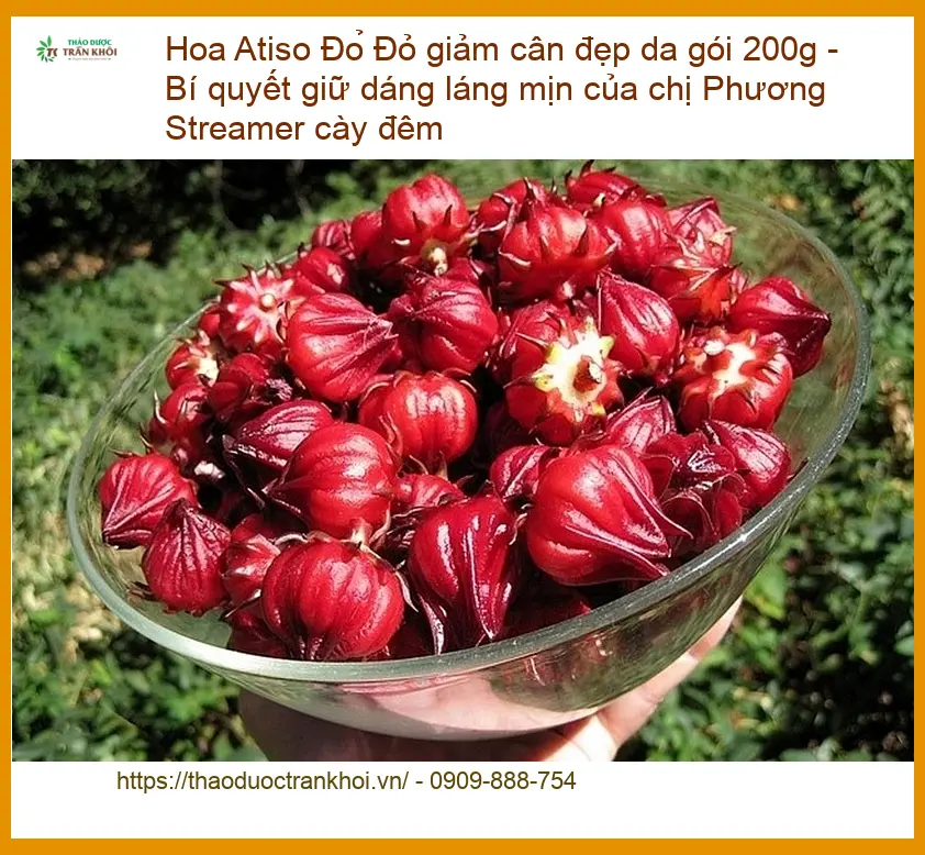 Hoa Atiso Đỏ giảm cân đẹp da gói 200g - Địa chỉ Bán Giao nhanh TPHCM