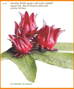 Hoa Atiso Đỏ nguyên chất chuẩn VietGAP loại gói 1kg - Địa chỉ Bán Giao nhanh