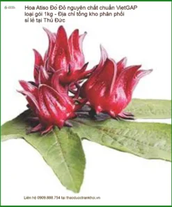 Hoa Atiso Đỏ nguyên chất chuẩn VietGAP loại gói 1kg - Địa chỉ bán sỉ lẻ