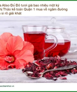 Hoa Atiso Đỏ tươi giá bao nhiêu một ký - Địa chỉ Bán Sỉ lẻ Giao nhanh TPHCM