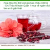 Hoa Atiso Đỏ tươi ngâm đường làm si rô giải khát - Địa chỉ Bán Giao nhanh