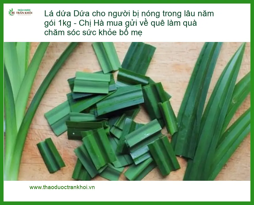 Lá Dứa cho người bị nóng trong lâu năm gói 1kg - Địa chỉ Bán Giao nhanh