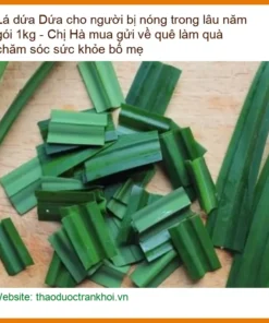 Lá Dứa cho người bị nóng trong lâu năm gói 1kg - Đơn vị Cung cấp Có sẵn