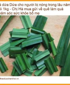 Lá Dứa cho người bị nóng trong lâu năm gói 1kg - Địa chỉ Bán Giao nhanh