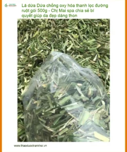 Lá Dứa chống oxy hóa thanh lọc đường ruột 500g - Địa chỉ Bán Giao nhanh TPHCM