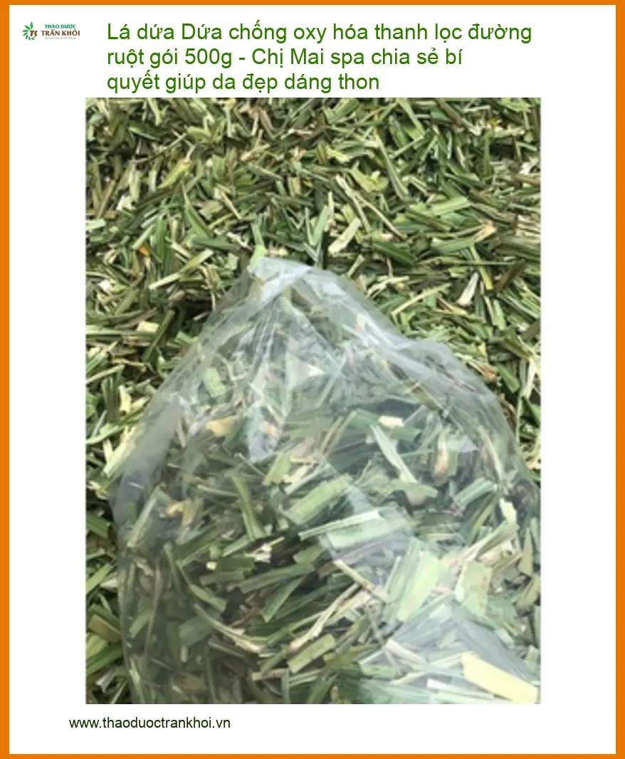 Lá Dứa chống oxy hóa thanh lọc đường ruột 500g - Địa chỉ Bán Giao nhanh TPHCM