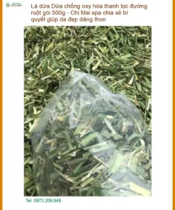 Lá Dứa chống oxy hóa thanh lọc đường ruột 500g - Địa chỉ Bán Giao nhanh TPHCM