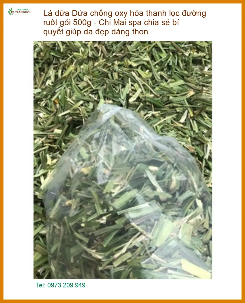 Lá Dứa chống oxy hóa thanh lọc đường ruột 500g - Địa chỉ Bán Giao nhanh TPHCM