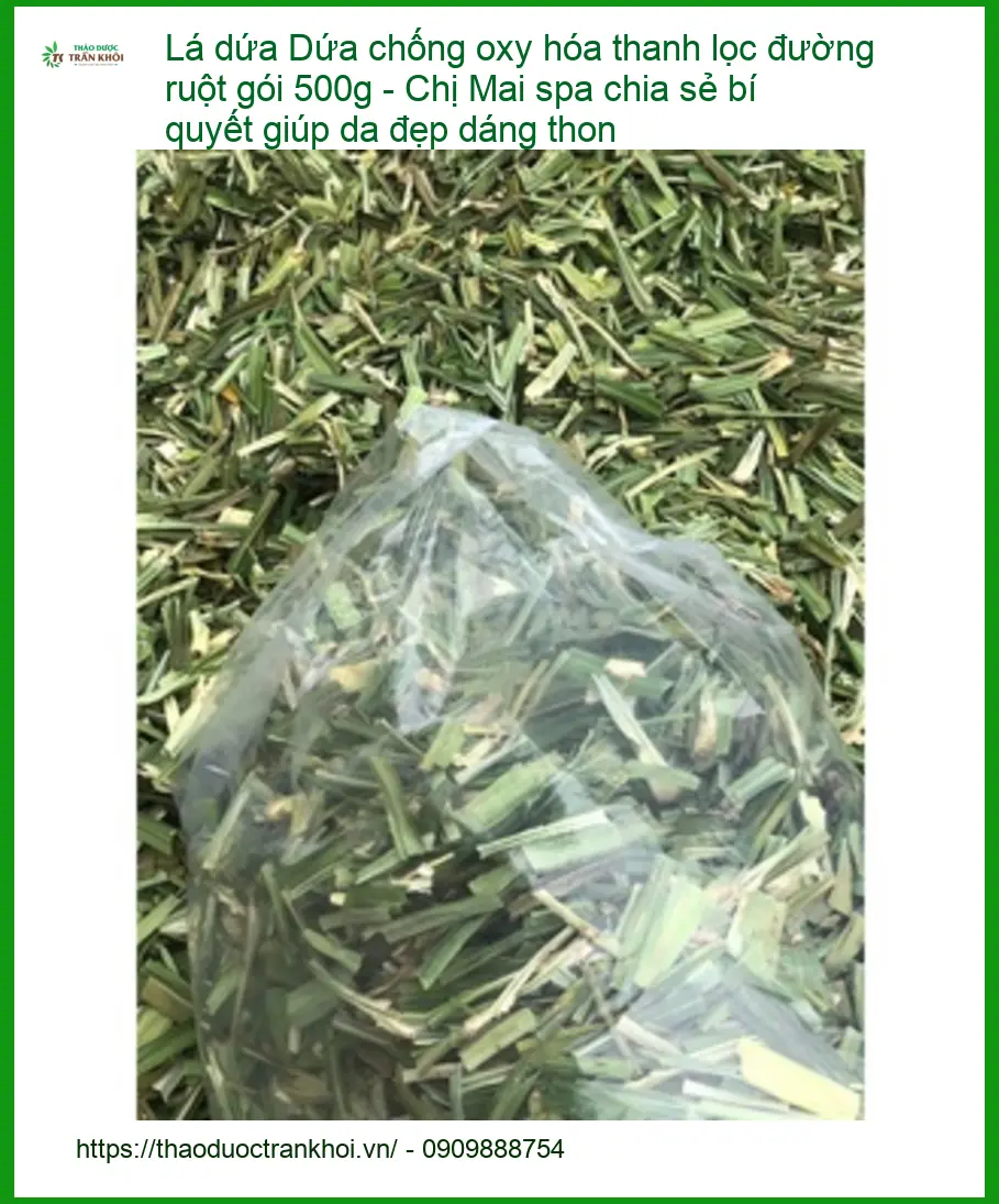 Lá Dứa chống oxy hóa thanh lọc đường ruột gói 500g - Sỉ lẻ Lá Dứa TPHCM