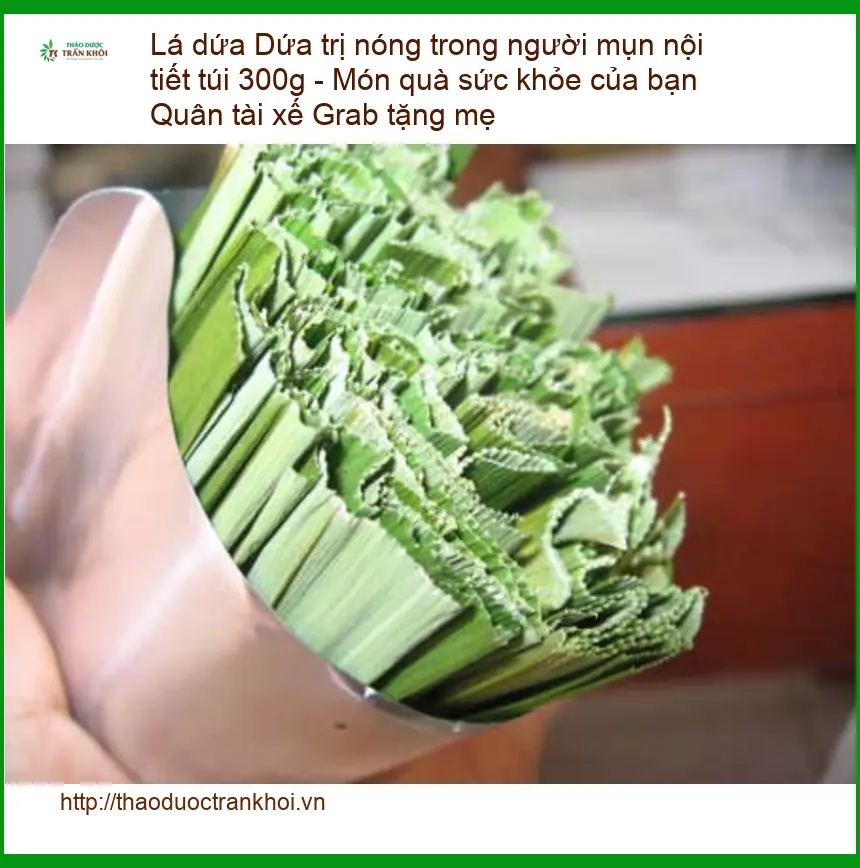 Lá Dứa trị nóng trong người mụn nội tiết túi 300g - Địa chỉ Bán Giao nhanh TPHCM