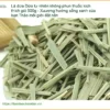 Lá Dứa tự nhiên không phun thuốc kích thích gói 500g|Địa chỉ Bán Có sẵn