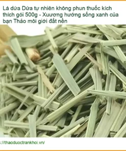 Lá Dứa tự nhiên không phun thuốc kích thích gói 500g|Địa chỉ Bán Có sẵn