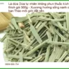 Lá Dứa tự nhiên không phun thuốc kích thích gói 500g - Sỉ lẻ Giao nhanh TPHCM