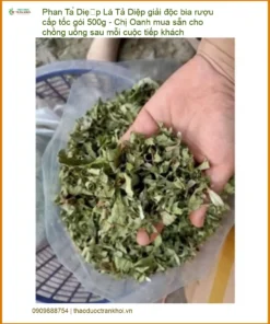 Lá Phan Tả Diệp giải độc bia rượu 500g - Địa chỉ Sỉ lẻ Giao nhanh TPHCM