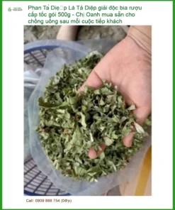 Lá Phan Tả Diệp giải độc bia rượu cấp tốc gói 500g - Sỉ lẻ giao nhanh TPHCM