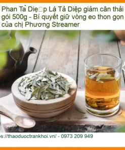 Lá Phan Tả Diệp giảm cân thải độc gói 500g - Địa chỉ bán giao nhanh TPHCM