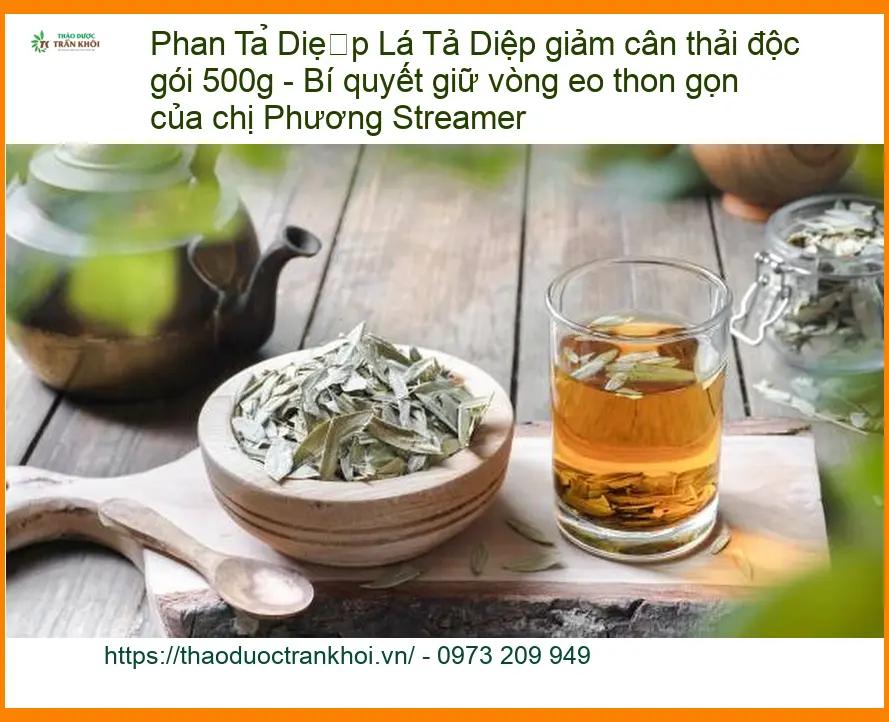 Lá Phan Tả Diệp giảm cân thải độc gói 500g - Địa chỉ bán giao nhanh TPHCM