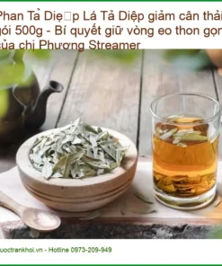 Lá Phan Tả Diệp giảm cân thải độc gói 500g - Đơn vị bán giao nhanh TPHCM