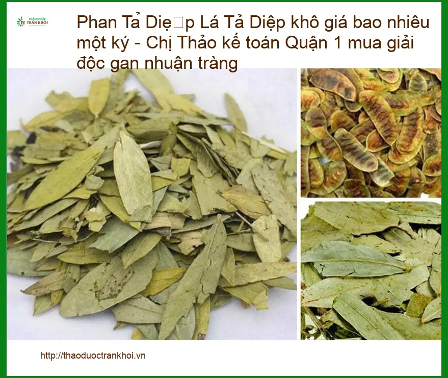 Lá Phan Tả Diệp khô giá bao nhiêu một ký - Chị Thảo - Địa chỉ Bán Giao nhanh TPHCM