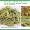 Lá Phan Tả Diệp khô giải độc gan nhuận tràng - Địa chỉ Bán sỉ lẻ Giao nhanh TPHCM