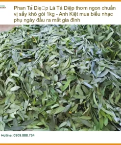Lá Phan Tả Diệp thơm ngon chuẩn vị sấy khô 1kg - Đơn vị Cung cấp Có sẵn TPHCM