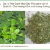 Mua Dây Thìa Canh giảm cân ở Quận 8 - Chú Hoàng kiểm soát lượng đường