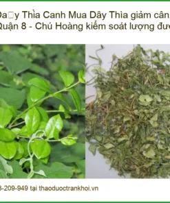 Mua Dây Thìa Canh giảm cân ở Quận 8 - Chú Hoàng kiểm soát lượng đường
