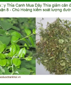 Mua Dây Thìa Canh giảm cân ở Quận 8 - Chú Hoàng kiểm soát lượng đường