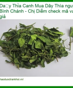 Mua Dây Thìa Canh nguyên chất Bình Chánh - Chị Diễm check mã vạch chống giả - Đơn vị cung cấp TPHCM có sẵn