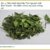 Dây Thìa Canh nguyên chất Bình Chánh - Chị Diễm check mã vạch - Giao nhanh