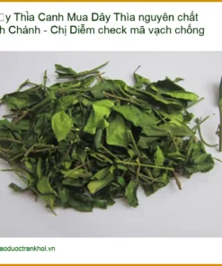 Dây Thìa Canh nguyên chất Bình Chánh - Chị Diễm check mã vạch - Giao nhanh