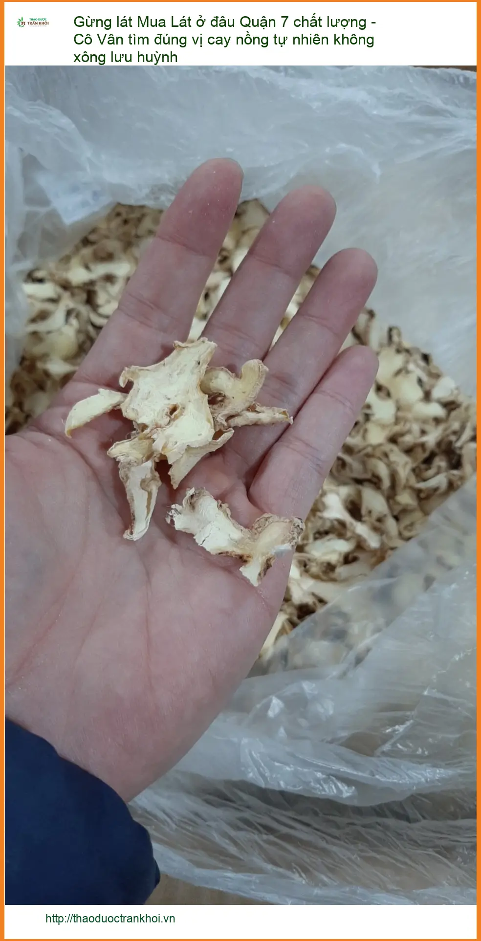 Gừng Lát Quận 7 - Địa chỉ Bán Gừng Lát tươi ngon giao nhanh tại TPHCM