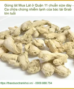Gừng Lát Quận 11 chuẩn size dày - Địa chỉ bán sỉ lẻ giao nhanh TPHCM