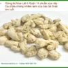 Gừng Lát Quận 11 chuẩn size dày - Địa chỉ bán sỉ lẻ giao nhanh TPHCM