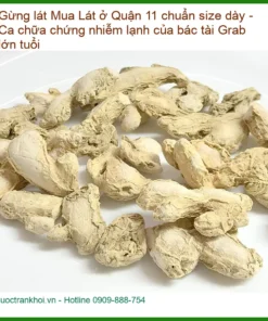 Gừng Lát Quận 11 chuẩn size dày - Địa chỉ bán sỉ lẻ giao nhanh TPHCM